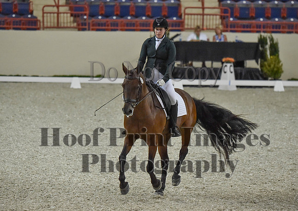 CWdressageI(8-20-16)0119