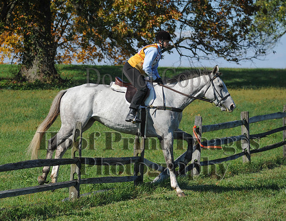 Cheshire(10-20-13)0480