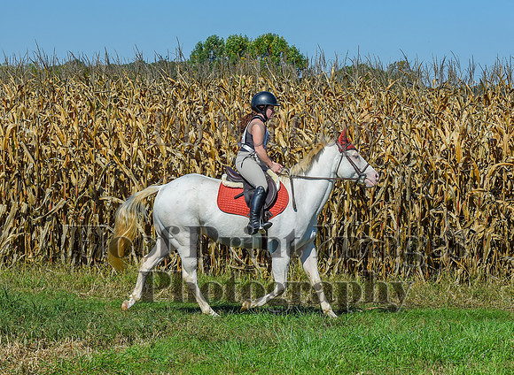 CheshirePonyClubPC(10-6-24)0524
