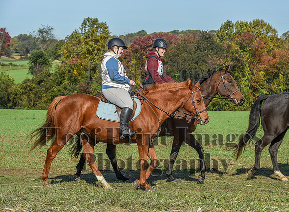 CheshirePC(10-18-20)0158
