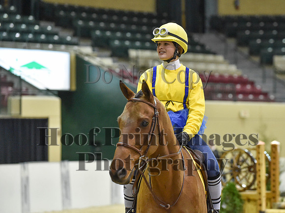 MidAtEqFest(11-14-15)1462