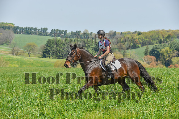 CheshireSpringPC1(4-28-24)0135