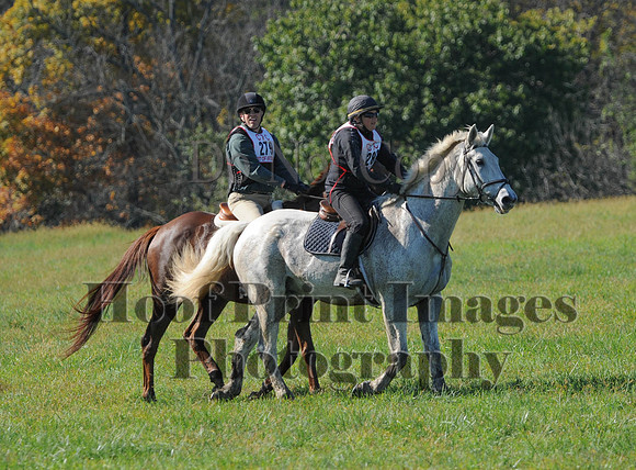 Cheshire(10-20-13)0661