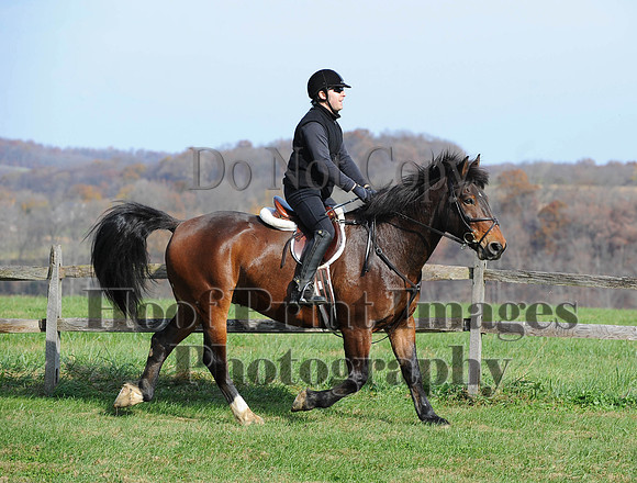 AndrewsBr(11-9-14)0372