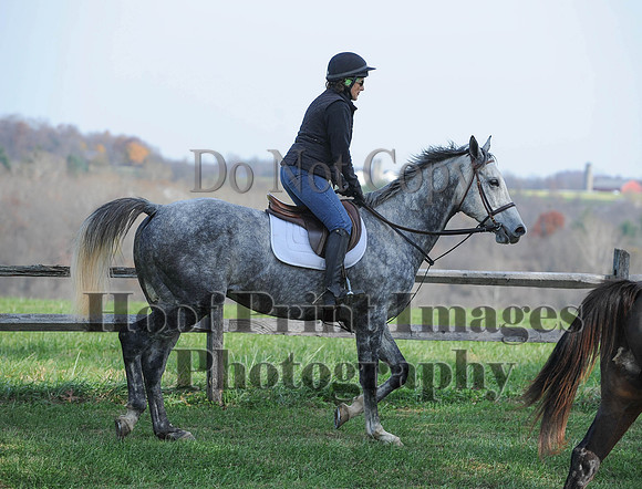 AndrewsBr(11-9-14)0289