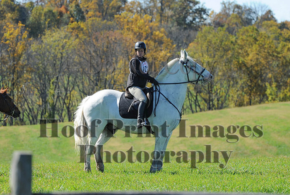Cheshire(10-19-14)0158