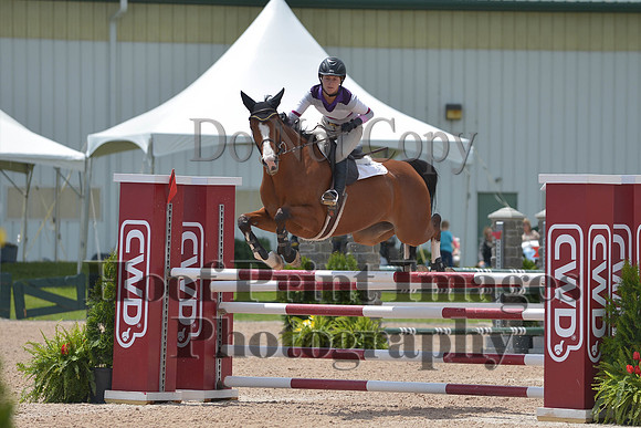 BRSa(5-17-14)HChAdJ0263