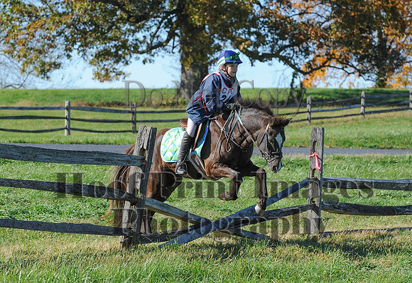 Cheshire(10-19-14)0393