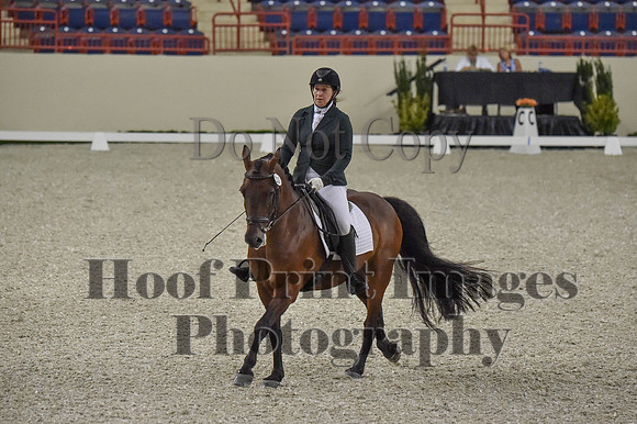 CWdressageI(8-20-16)0121