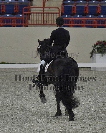 CWdressageII(8-21-16)0612