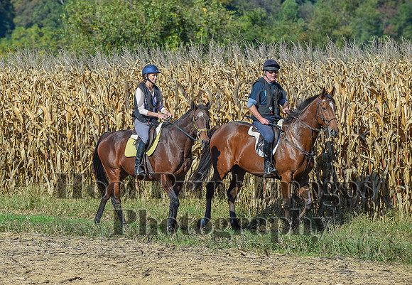 CheshirePonyClubPC(10-6-24)0123
