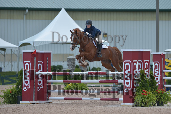 BRSa(5-17-14)HChAdJ0227