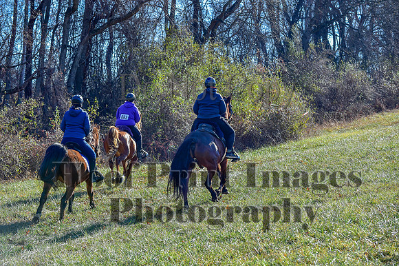 FairHillFallPC(11-30-24)0286