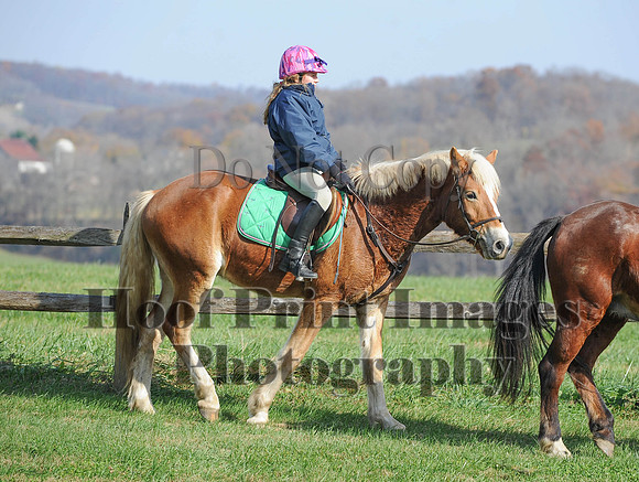 AndrewsBr(11-9-14)0151