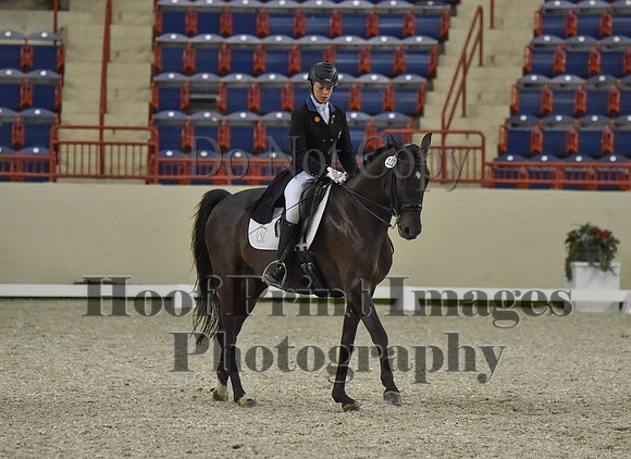 CWdressageI(8-20-16)0697