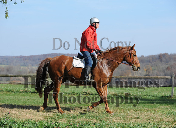 AndrewsBr(11-9-14)0041