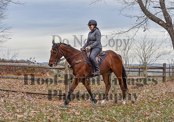AndrewsBrHuntPace(11-10-24)0119