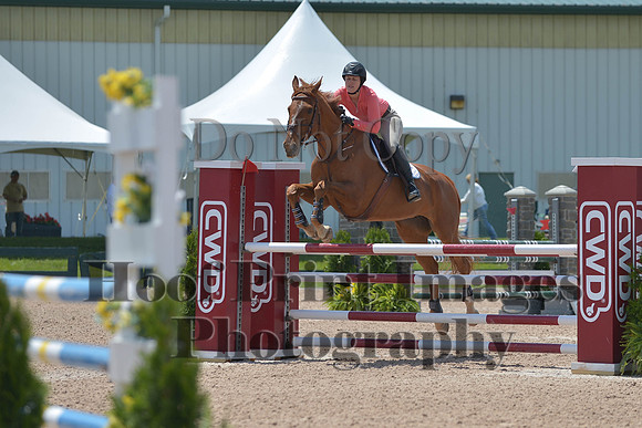 BRSa(5-17-14)HChAdJ0278
