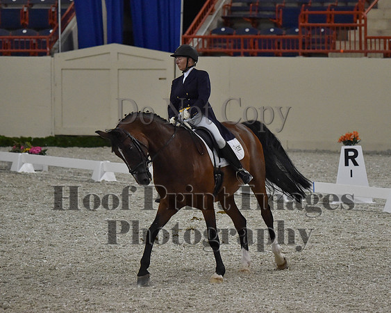 CWdressageII(8-21-16)0761