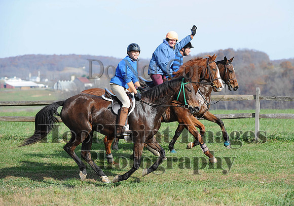 AndrewsBr(11-9-14)0231