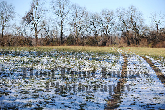 FairHill(11-28-14)0004