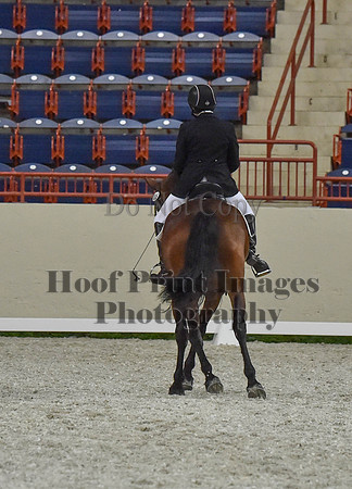CWdressageI(8-20-16)1297
