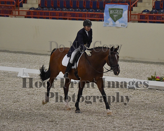 CWdressageII(8-21-16)0780