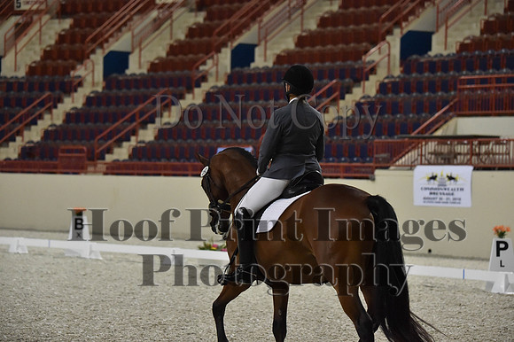 CWdressageI(8-20-16)0990