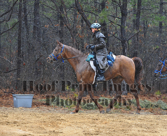 Rabbit(3-29-14)0418