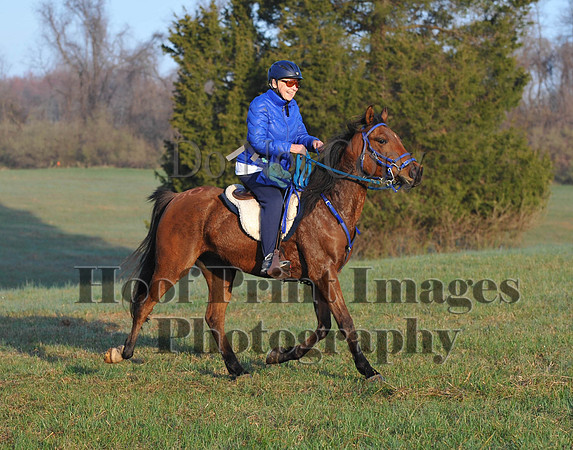 Foxcatcher(4-12-14)0442
