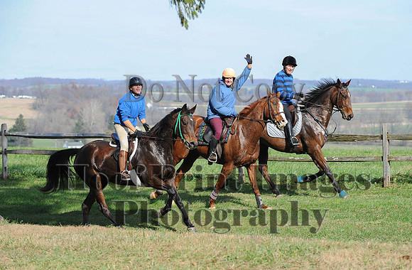 AndrewsBr(11-9-14)0225