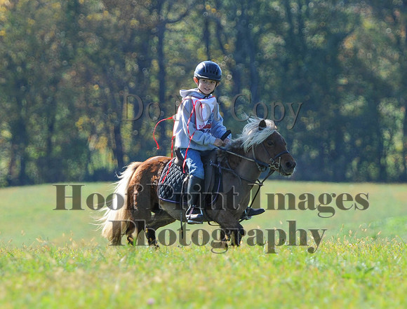 Cheshire(10-20-13)0488