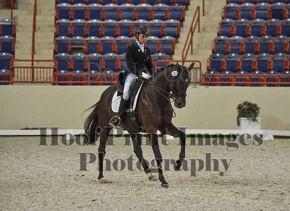 CWdressageI(8-20-16)0701
