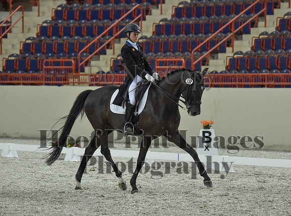 CWdressageI(8-20-16)1461