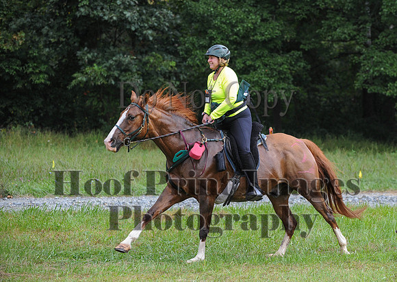 ChesapeakeCTR(9-20-14)0474