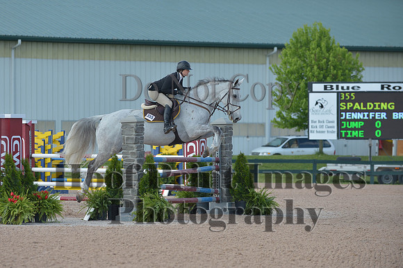 BRSa(5-17-14)HChAdJ0043