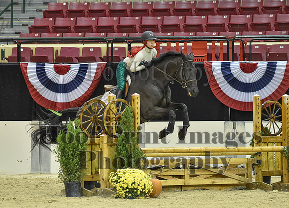 MidAtEqFest(11-14-15)1773