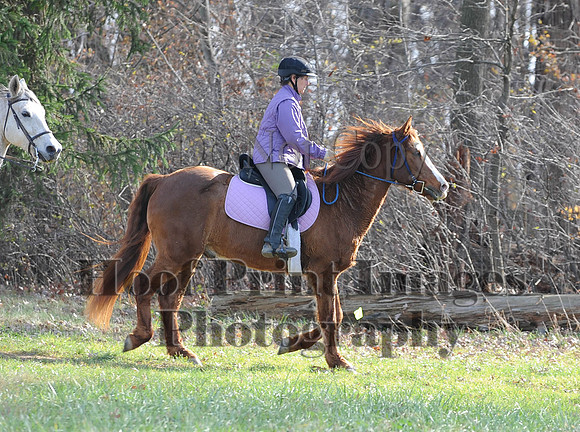 AndrewsBr(11-9-14)0238