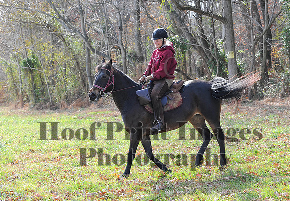 AndrewsBr(11-9-14)0553
