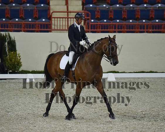 CWdressageII(8-21-16)2238