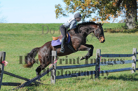 Cheshire(10-19-14)0247
