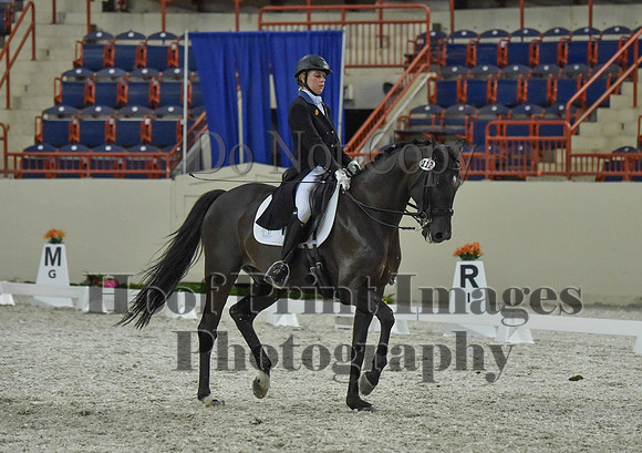 CWdressageI(8-20-16)1459