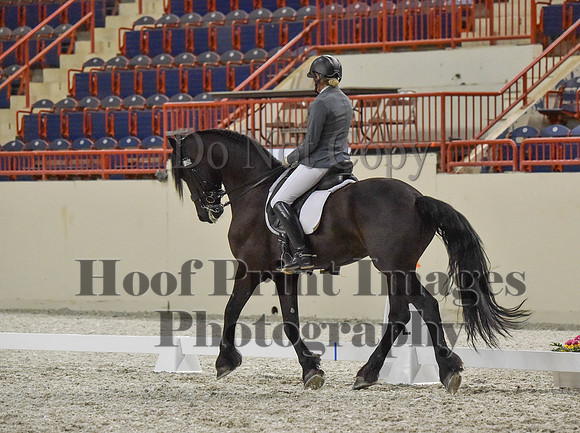 CWdressageI(8-20-16)1226