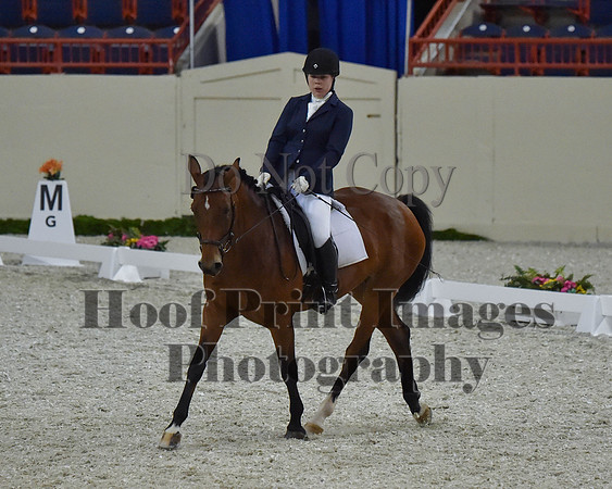 CWdressageII(8-21-16)2111