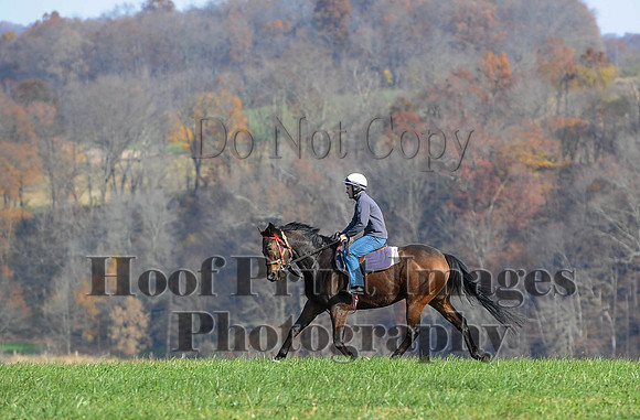 AndrewsBr(11-9-14)0092