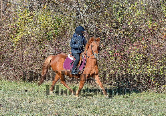 FairHillFallPC(11-30-24)0225