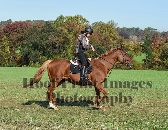 CheshirePC(10-18-20)0041