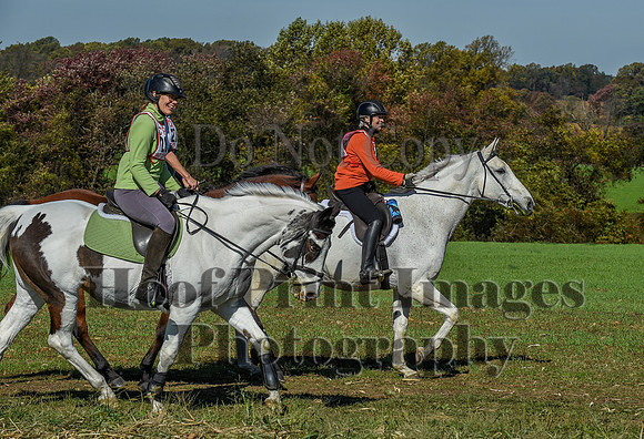 CheshirePC(10-18-20)0582
