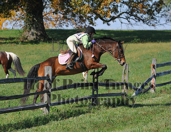 Cheshire(10-20-13)0339