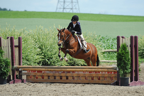 SC(6-28-14)SMPony0066